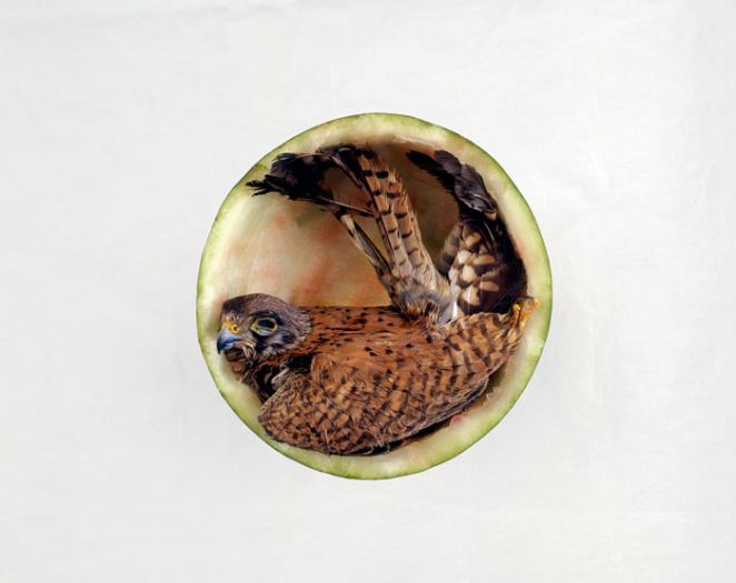 שגית זלוף-נמיר, בז, 2008, הדפסת צבע, 100X80 ס''מ שגית זלוף-נמיר, בז, 2008, הדפסת צבע, 100X80 ס''מ