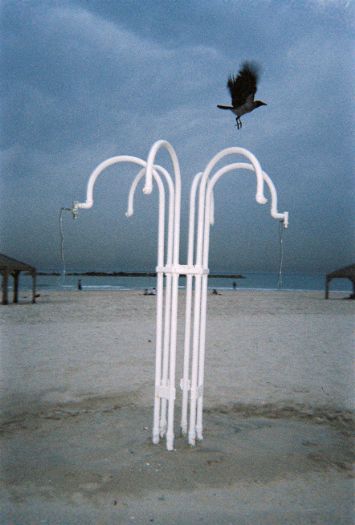 קרין מנדלוביץ, Shower and Raven, 2005, הדפסה דיגיטלית קרין מנדלוביץ, Shower and Raven, 2005, הדפסה דיגיטלית