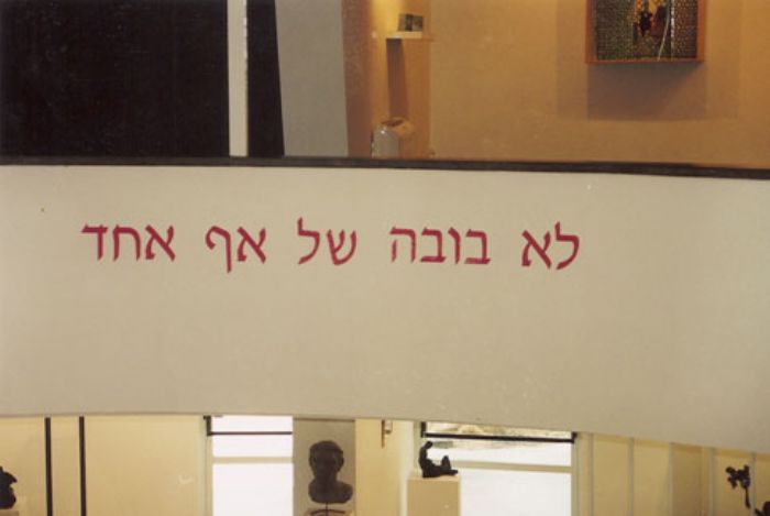 מראה כללי מראה כללי