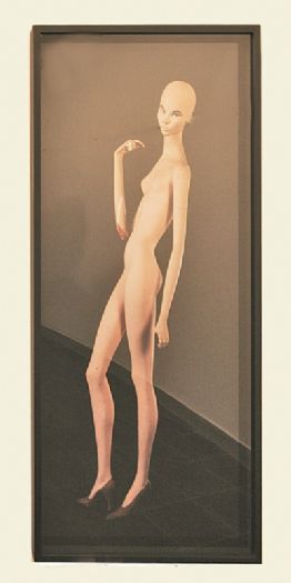 אליס קלינגמן, ללא כותרת, 2005, צילום, 138X60 סמ אליס קלינגמן, ללא כותרת, 2005, צילום, 138X60 סמ