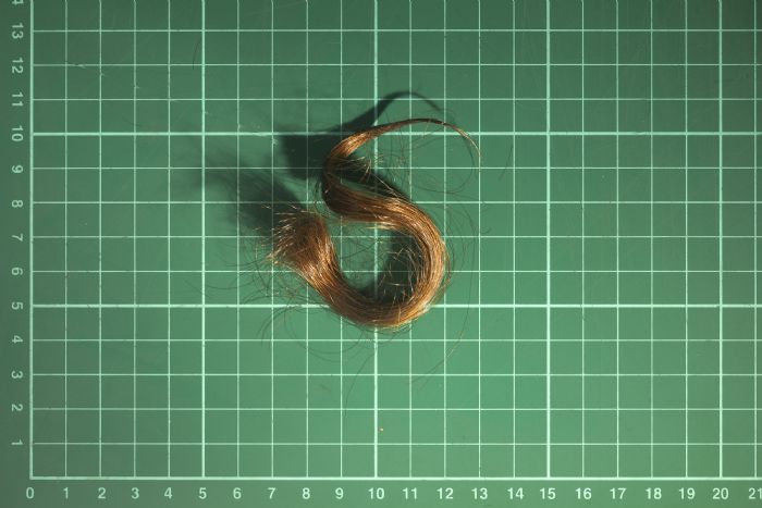 טל ניסים, ללא כותרת, 2019, 0:21 שניות בלופ טל ניסים, ללא כותרת, 2019, 0:21 שניות בלופ